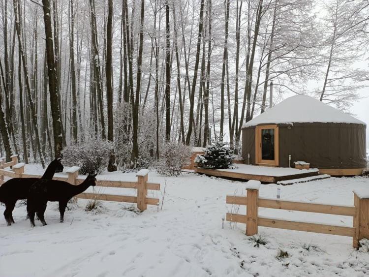 Hotel Forglamp Bydhošť Exteriér fotografie