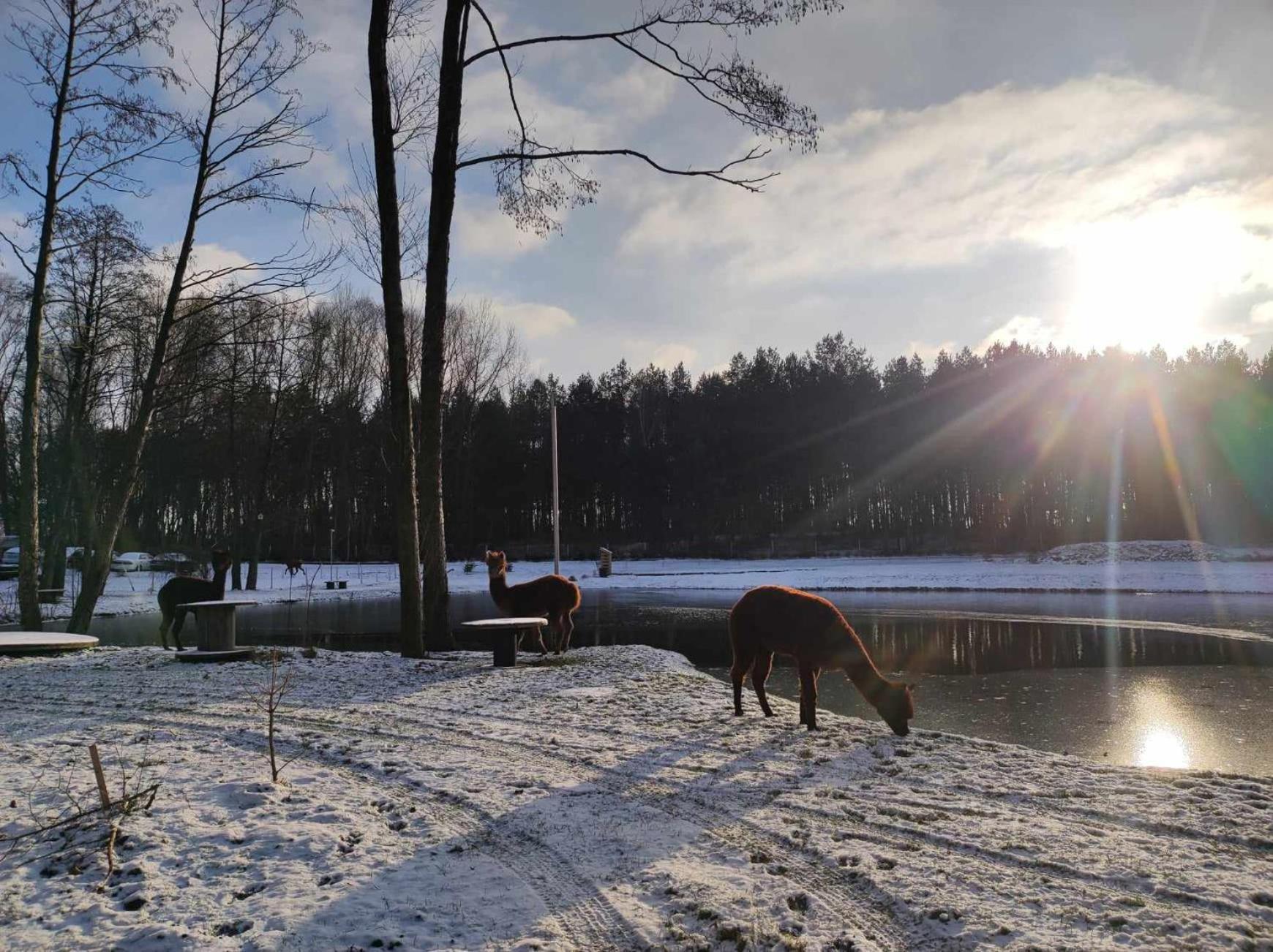 Hotel Forglamp Bydhošť Exteriér fotografie